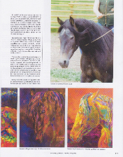 mangalarga marchador art article abccmm brasil